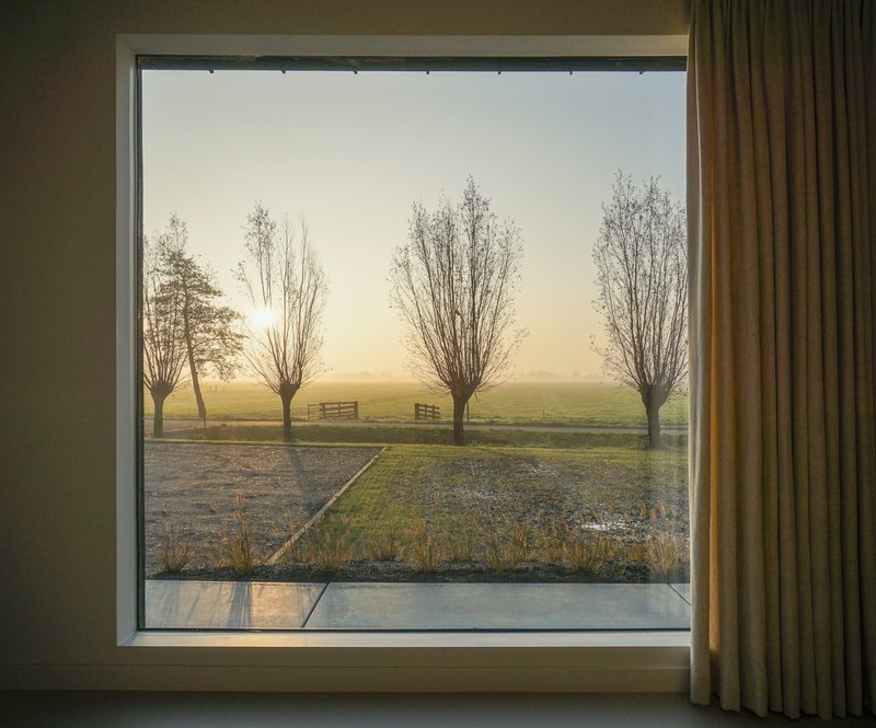 Framed window view of four pollarded trees standing in a frosty field at dawn