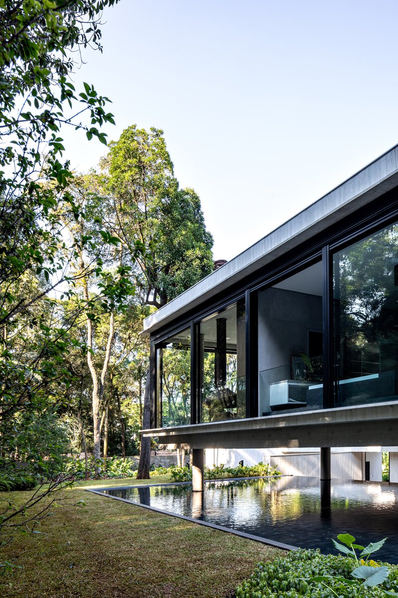 Glass-walled upper volume on piloti above a reflecting pool with water plants and surrounding forest