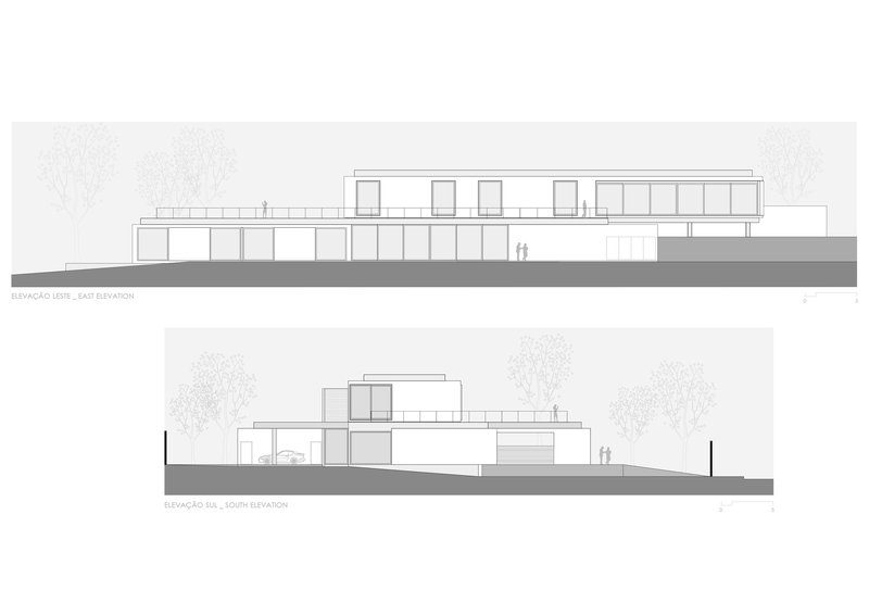 Elevation drawings depicting the building's massing on grade with surrounding trees indicated