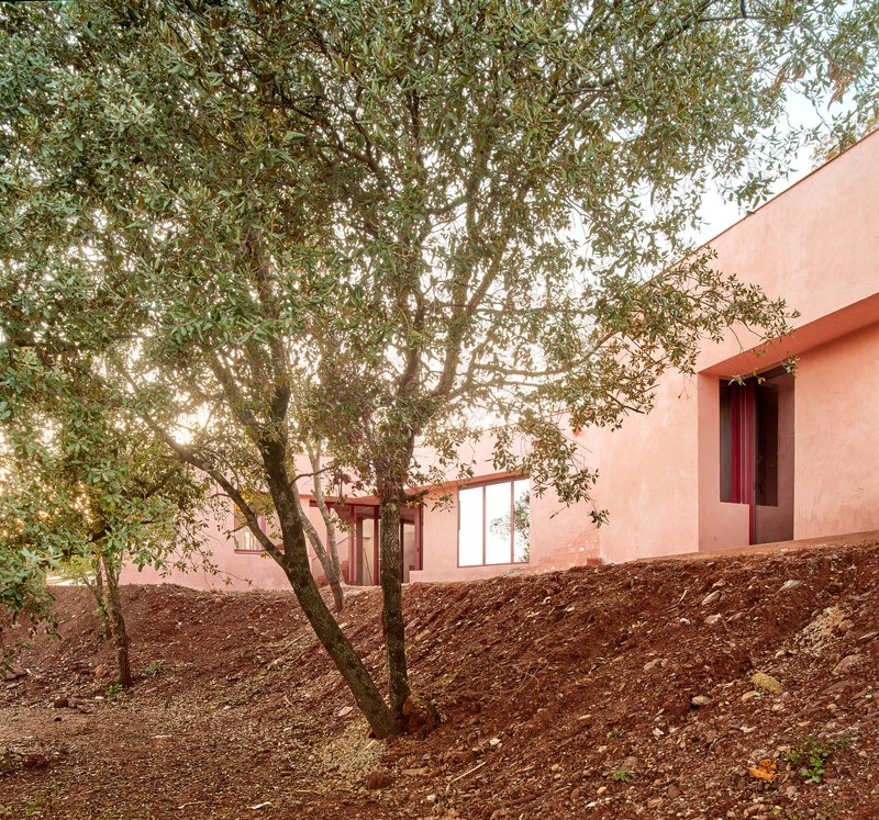 Exterior view with olive tree in red gravel garden next to plastered pink volume