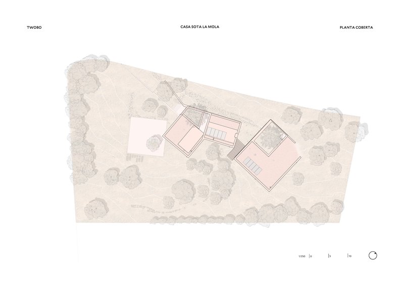 Roof plan drawing showing three volumes arranged diagonally across the landscaped site