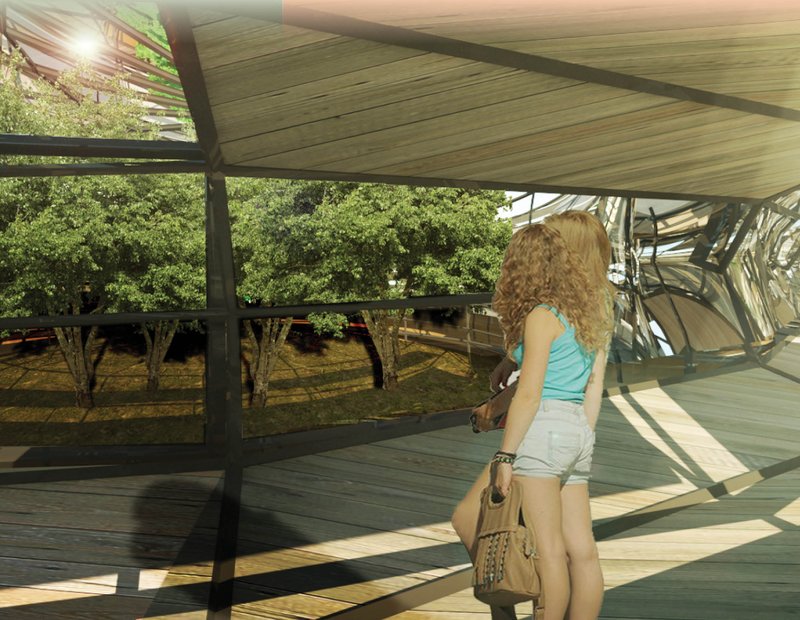 Elevated walkway system offering uninterrupted visual connections between visitors, nature, and protected koala habitats.
