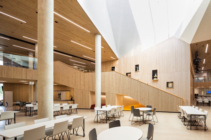 Interior atrium showing timber columns, angled staircase with vertical battens and white fabric ceiling sails
