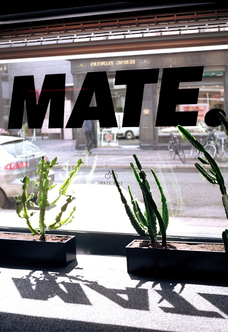 Storefront window with reverse lettering and potted cacti casting sharp shadows on the floor