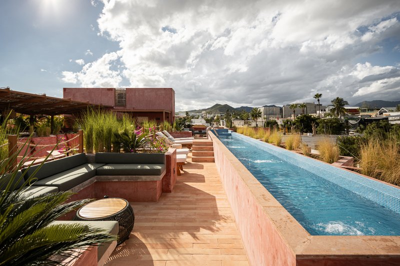 Rooftop terrace with a lap pool, planted beds, timber decking and mountains under cloudy skies