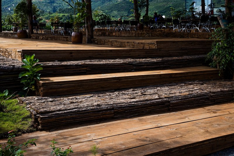 Timber steps with rough-hewn log risers and planted pockets ascending through dappled sunlight