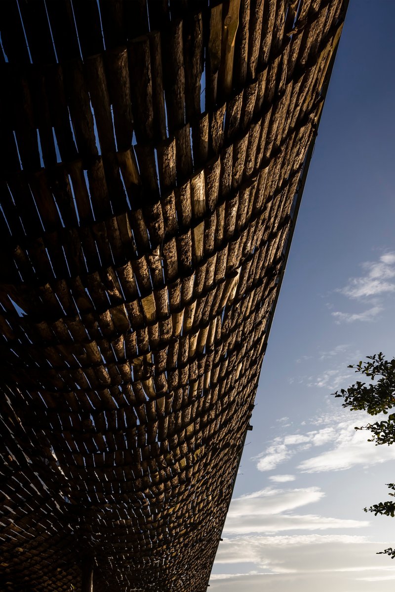 Underside view of woven bamboo canopy edge against evening sky