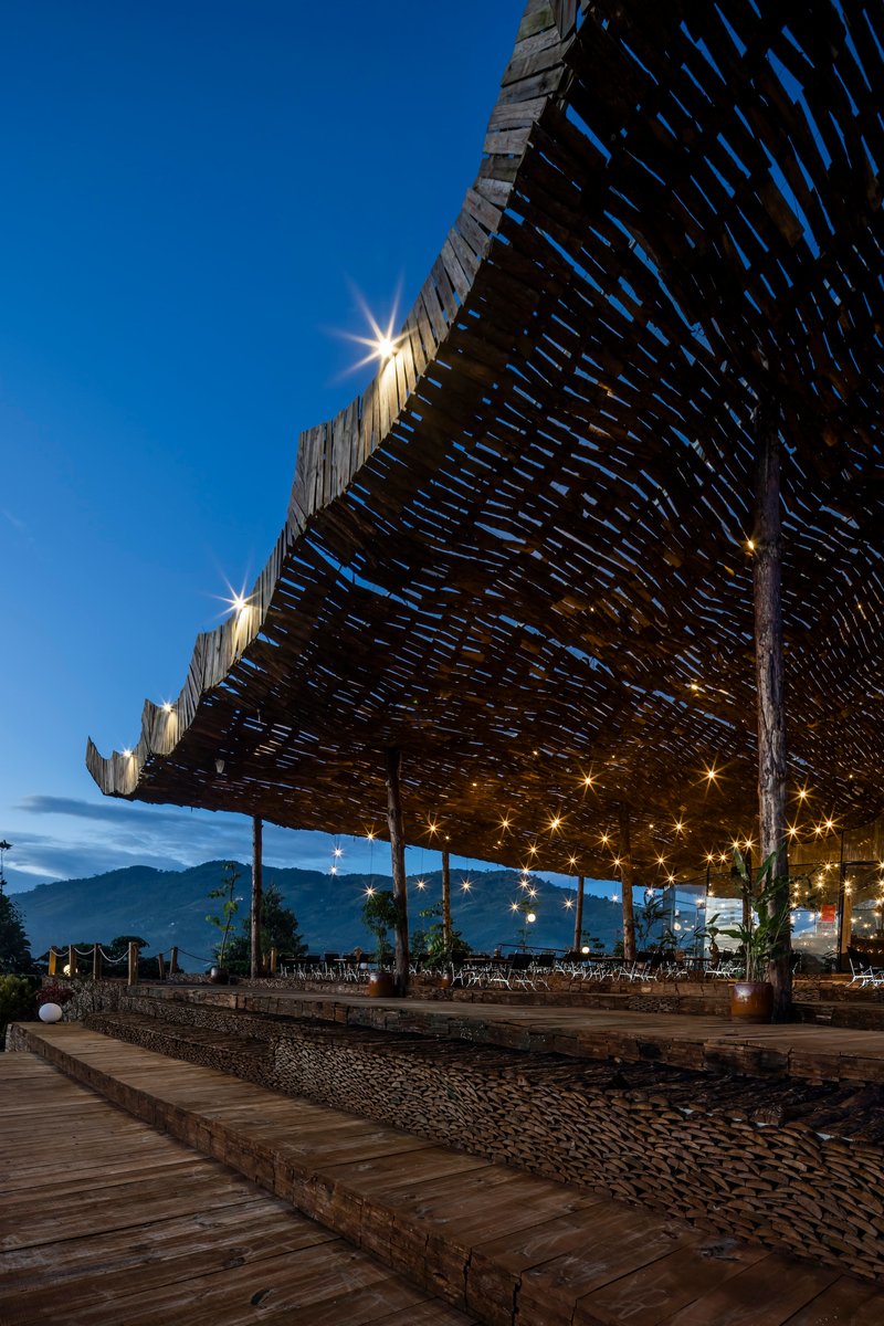 Underside view of the basket-woven timber canopy supported by slender columns at dusk