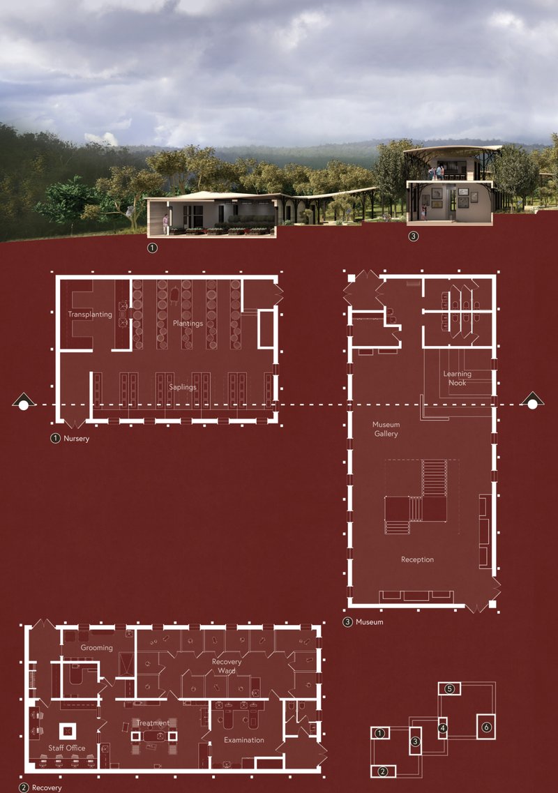 Sectional diagrams and floor plans reveal the sanctuary’s integrated approach to koala rehabilitation, ecological education, and sustainable architecture.