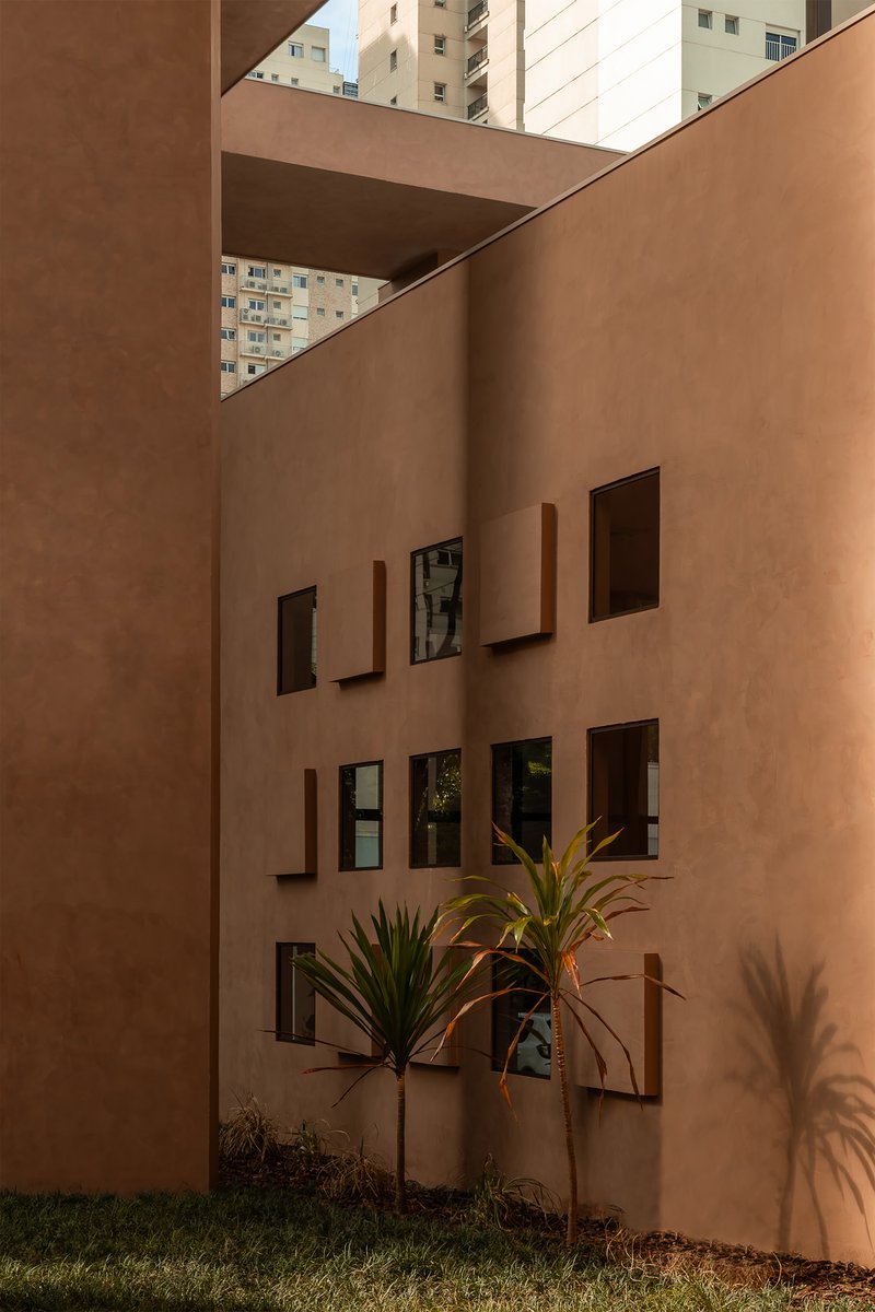 Courtyard view of terracotta walls with irregularly placed window openings and palms in planted beds