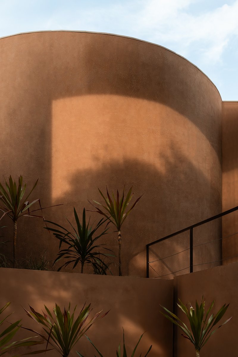 Curved earthen-toned stucco facade with planted beds of spiky palms in afternoon shadow