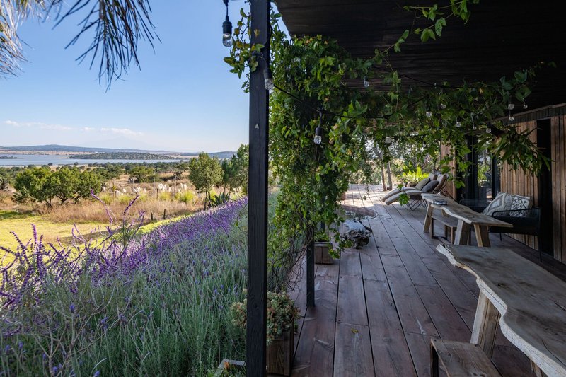Covered timber deck with lavender plantings, climbing vines, and views across the sloping landscape