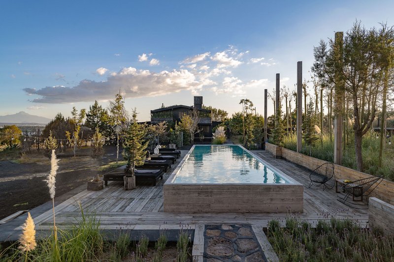 Elevated timber lap pool on deck with planted borders and steel columns at sunset