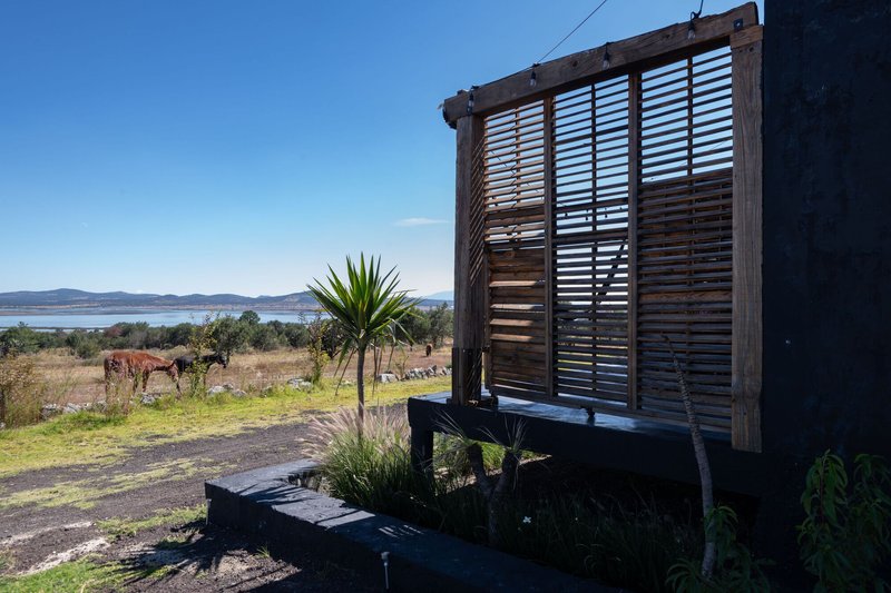 Timber slatted screen structure with planted yucca and grasses overlooking a distant lake under clear blue sky