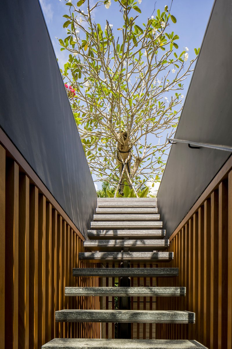 Outdoor staircase with concrete treads rising between timber screens toward a tree and blue sky