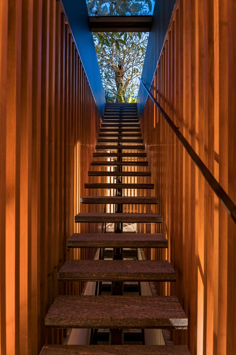 Open-tread staircase rising through vertical timber slat walls toward a skylight and tree canopy