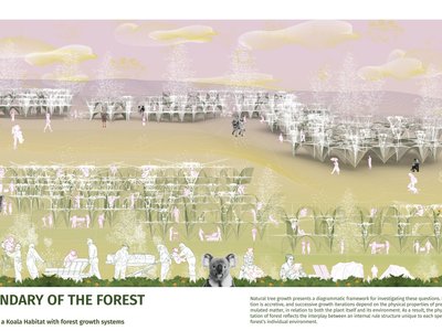 Boundary of Forest: A Biophilic Architecture Proposal for Koala Habitat Conservation