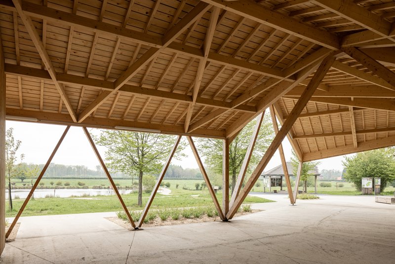 Interior perspective of the timber roof structure with diagonal columns framing views of the landscape