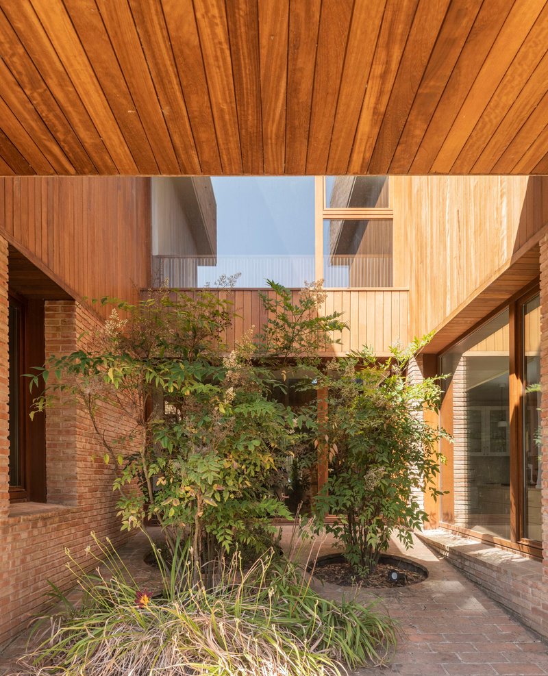 Interior courtyard with planted trees under a timber ceiling open to the sky