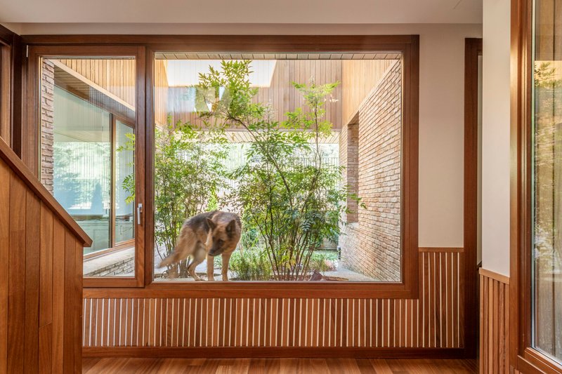 Timber-framed window looking onto a courtyard garden with a dog on the paving