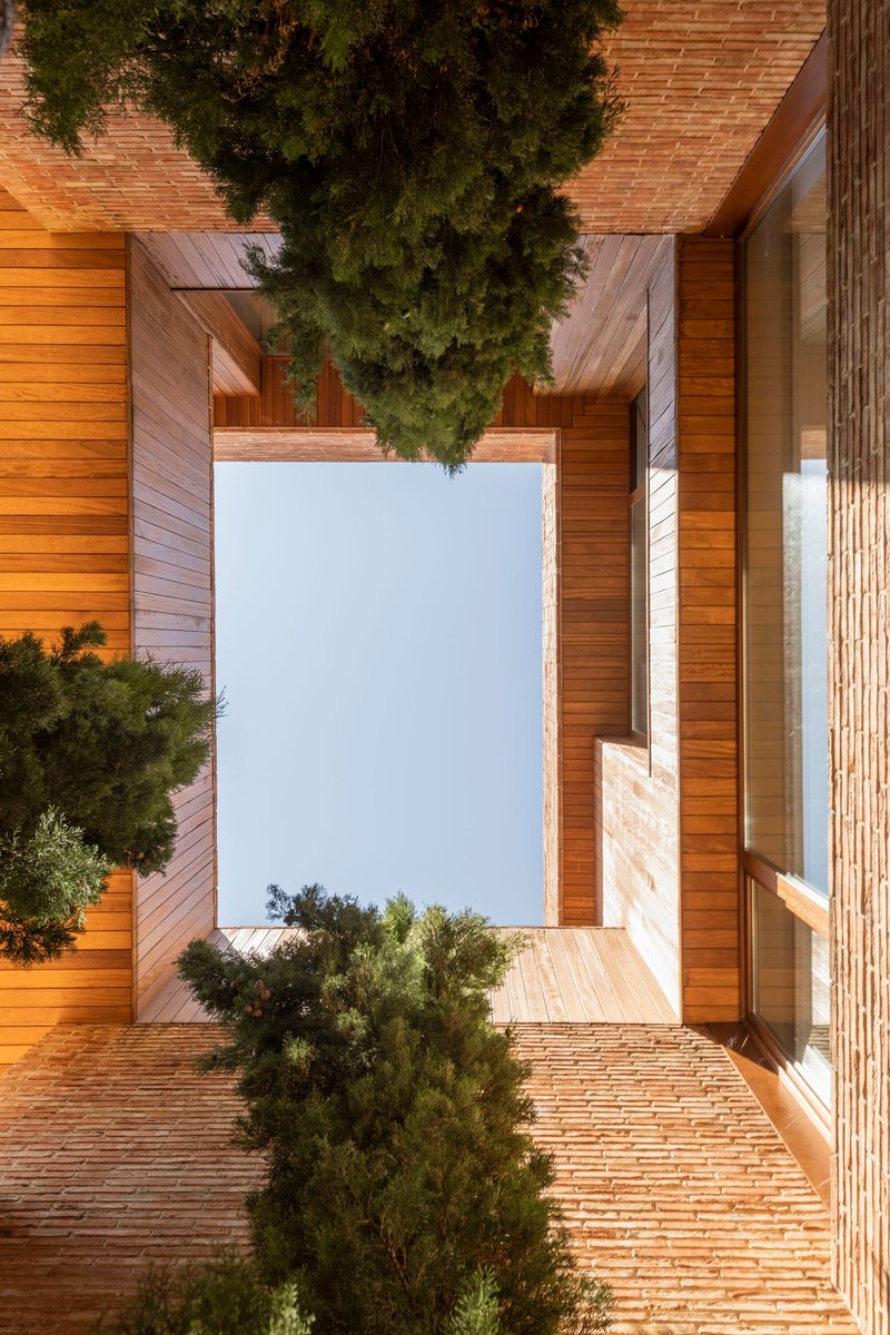 Upward view into a timber-lined courtyard framed by glazing and punctuated by evergreen trees