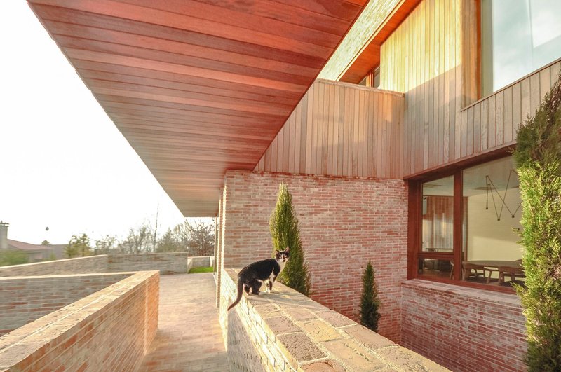 Exterior terrace with timber soffit overhang and brick walls beside a dog and cypress trees