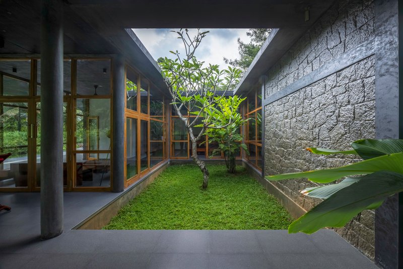 Courtyard with grass lawn and single tree framed by textured stone walls and timber window walls