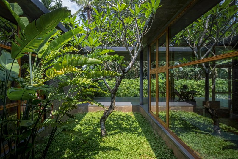 Interior courtyard with planted lawn, frangipani trees, and full-height glazed walls framing the garden