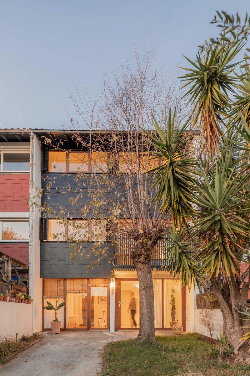 Front facade with dark shingle cladding and timber-framed glazing behind a leafless tree and spiky palms