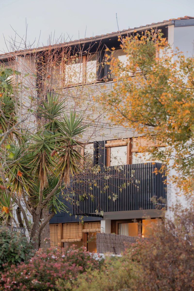 Three-storey facade with corrugated metal balcony screens and timber openings framed by autumn foliage and palms