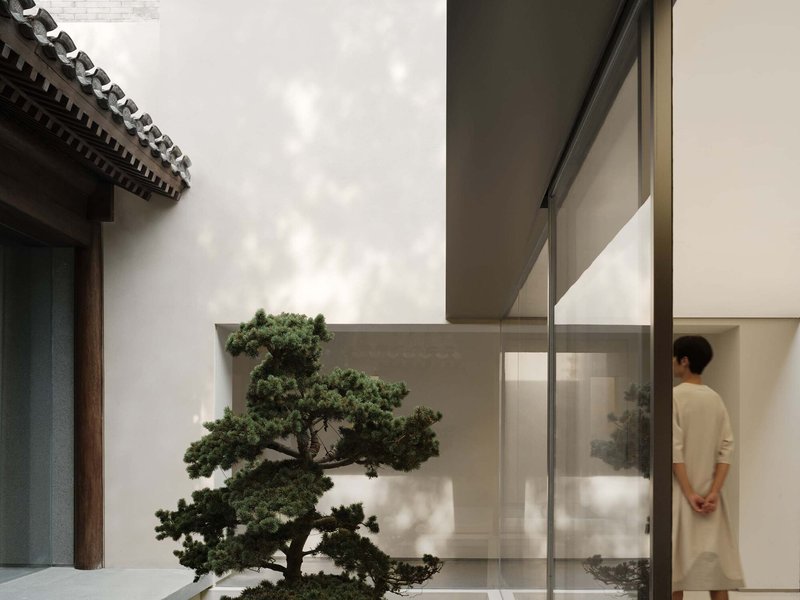 Courtyard view with bonsai tree and a person standing inside the glazed interior space