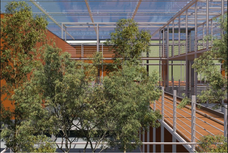 Elevated walkways and open courtyards create a calming rehabilitation environment immersed in native greenery.