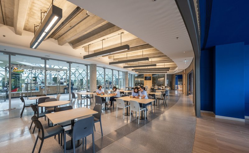 Cafeteria space with exposed timber ceiling beams and views to the diagrid-glazed garden terrace
