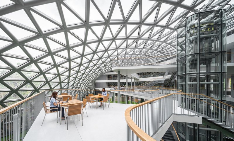 Multi-level atrium with curved steel lattice roof and balconies overlooking a central study space