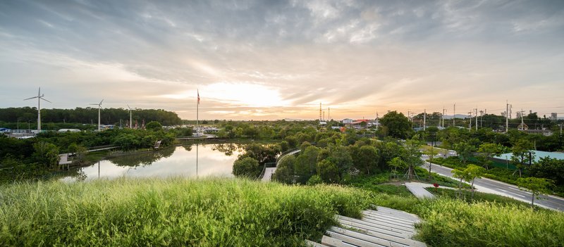 Elevated view of the timber boardwalk winding through planted wetland grasses beside a reflective pond at dusk