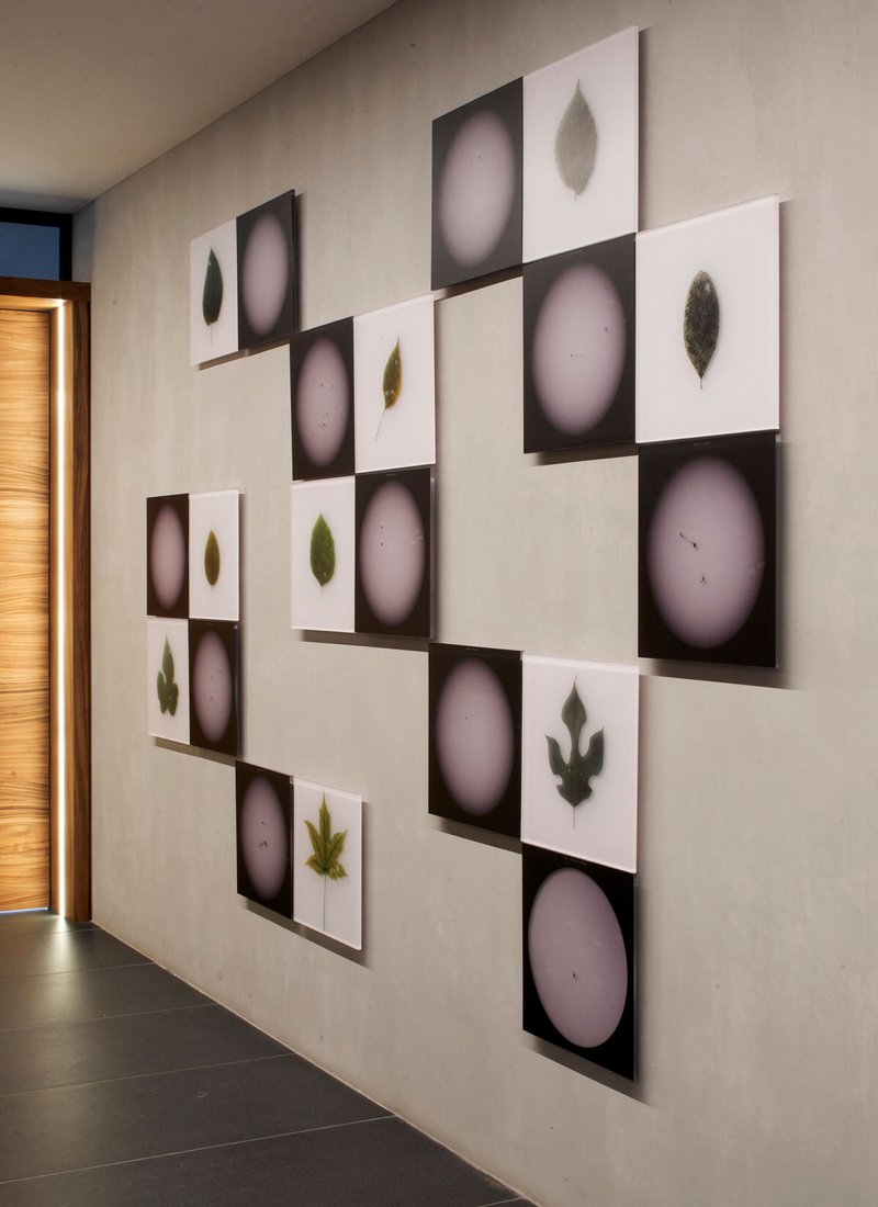 Gallery wall displaying alternating panels with leaf images and circular gradients near a timber door
