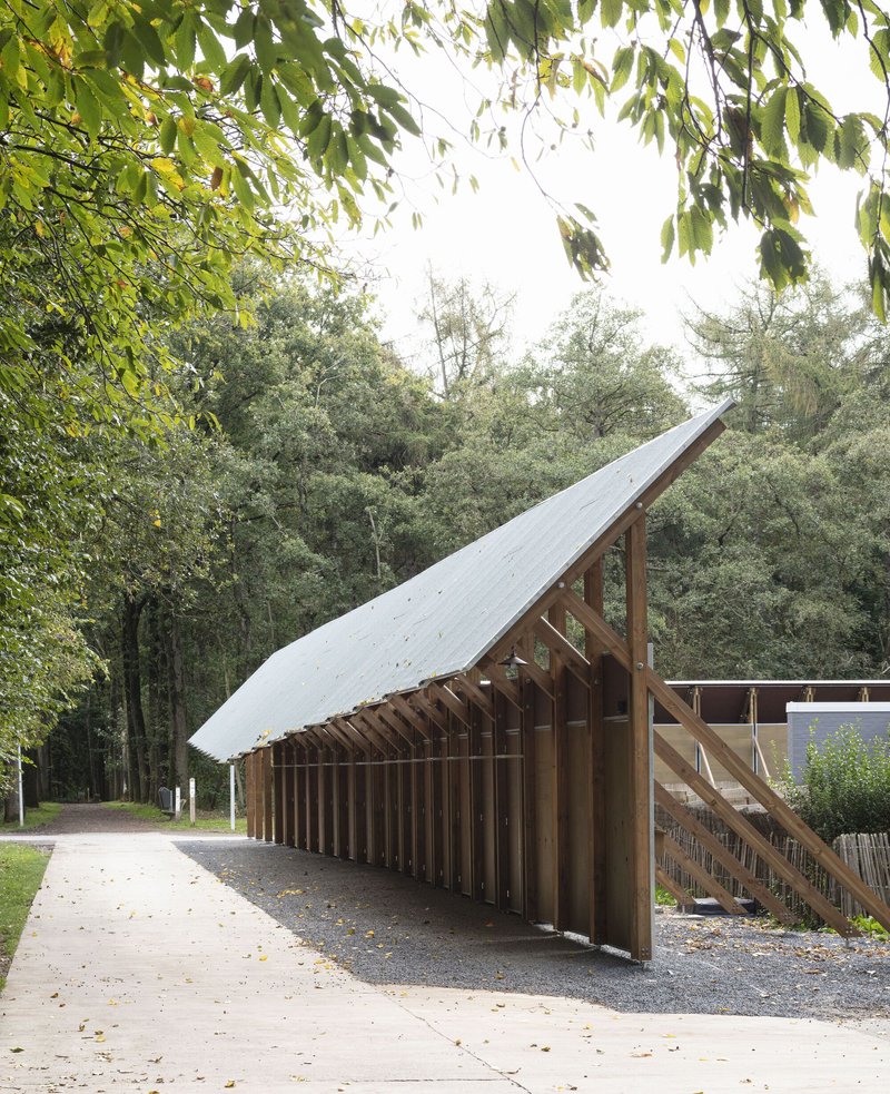 Long view of the slanted roof pavilion with exposed timber columns and overhanging branches