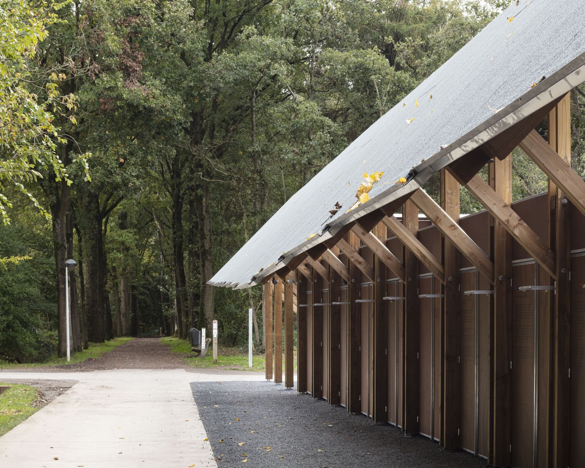 Schenk Hattori Builds a Timber Beacon at the Edge of a Belgian Nature Reserve