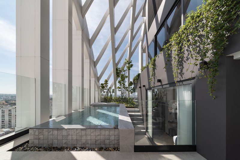 Terrace pool with glass tile edging and hanging vines above a glazed stairwell enclosure