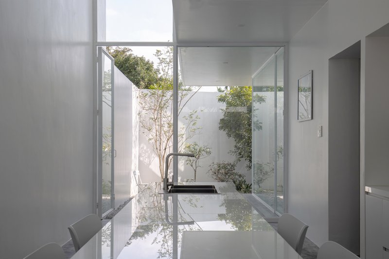 Interior courtyard with a single tree and glazed walls reflecting the surrounding planting