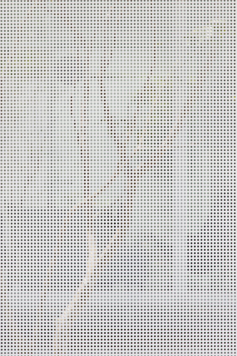 Close-up of perforated white metal screen with tree shadows cast across the surface