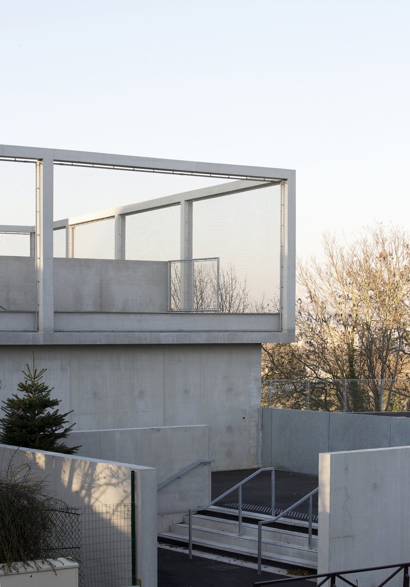 Concrete terrace with metal railing and mesh balustrade framed by bare trees in late afternoon light
