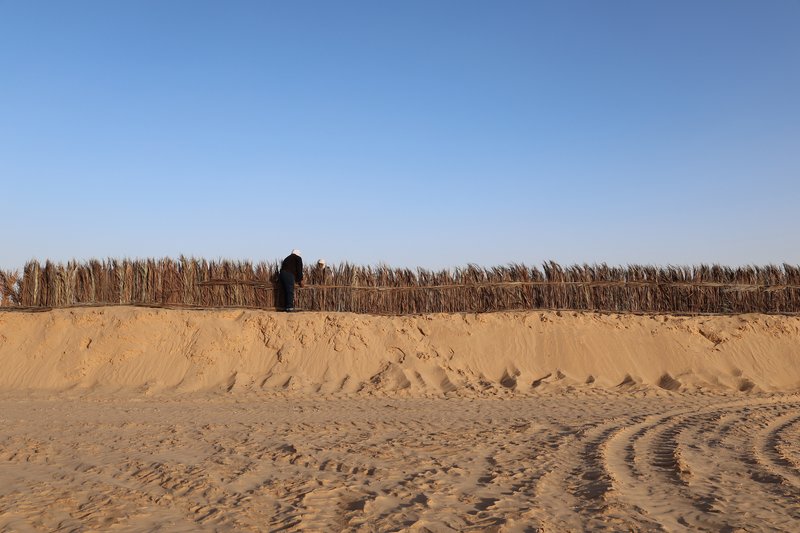 Reed fence atop an earthen berm with a figure standing beyond in afternoon light