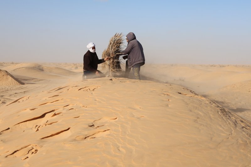 Domed earth roof with brick ribs emerging from sand as two workers handle dried grass bundles