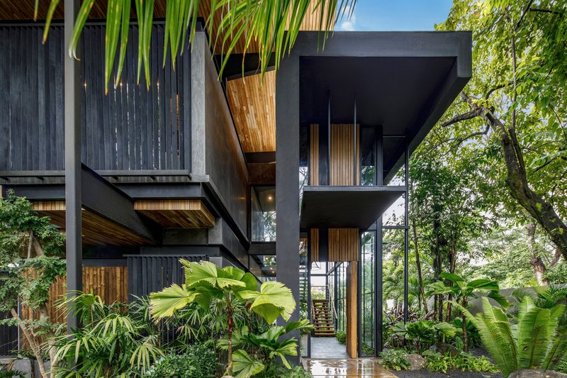Exterior facade showing stacked volumes in black steel with timber soffits and tropical planting