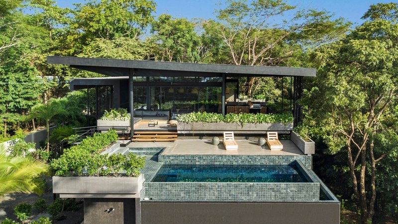Tiered infinity pool with mosaic tile finish overlooking the forested canopy below
