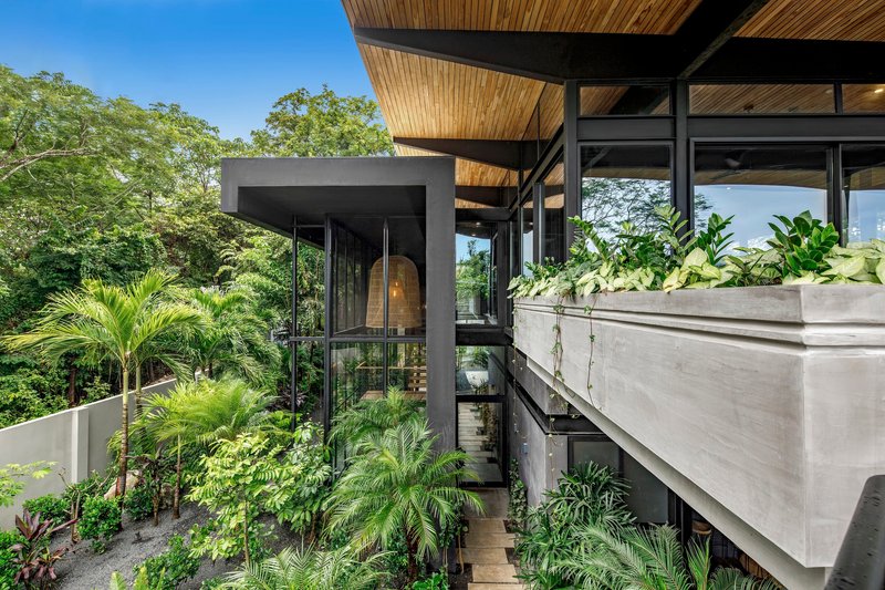 Concrete planter boxes with vegetation beside timber-lined soffits and glass enclosure