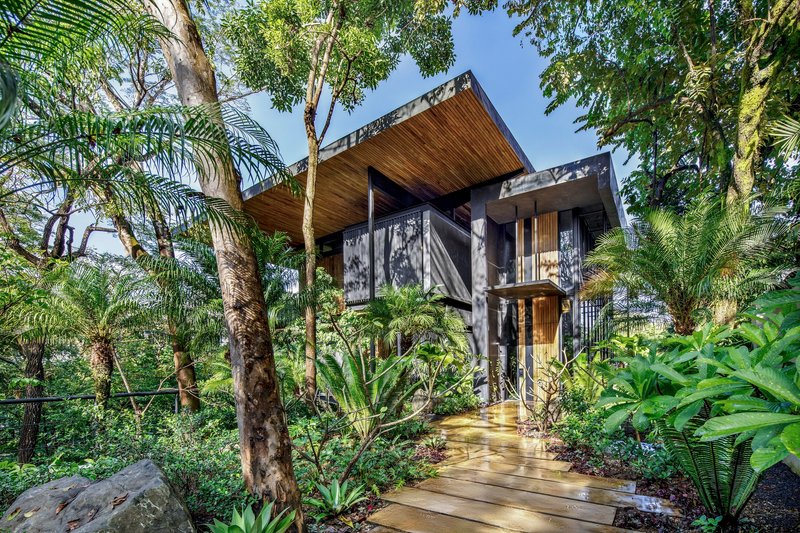 Timber boardwalk entry path through palms and tropical foliage leading to the residence