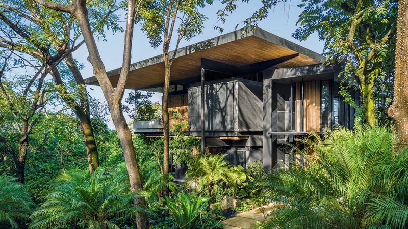 Two-storey timber and concrete pavilion elevated among ferns and tropical trees