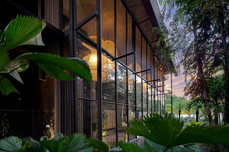 Glass curtain wall facade framed by palms and tropical foliage at dusk with interior lights glowing